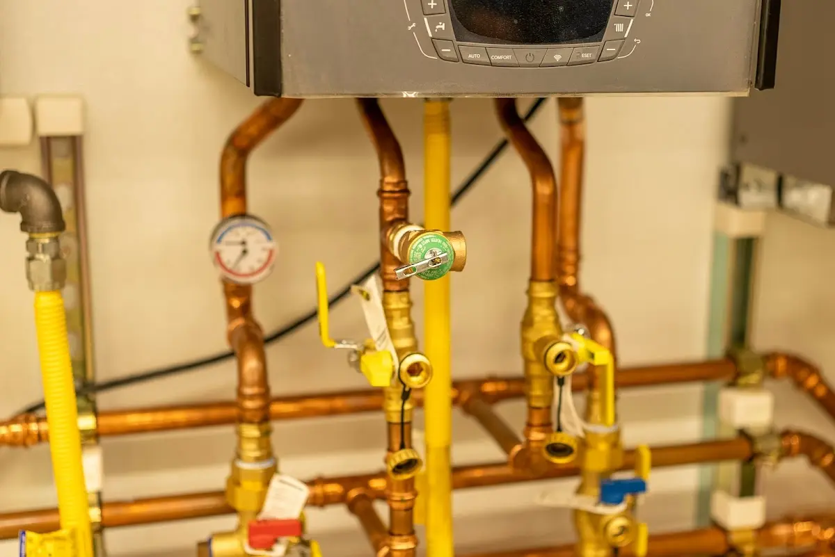 Licensed technician providing Sump Pump Repair for a homeowner in Francisville